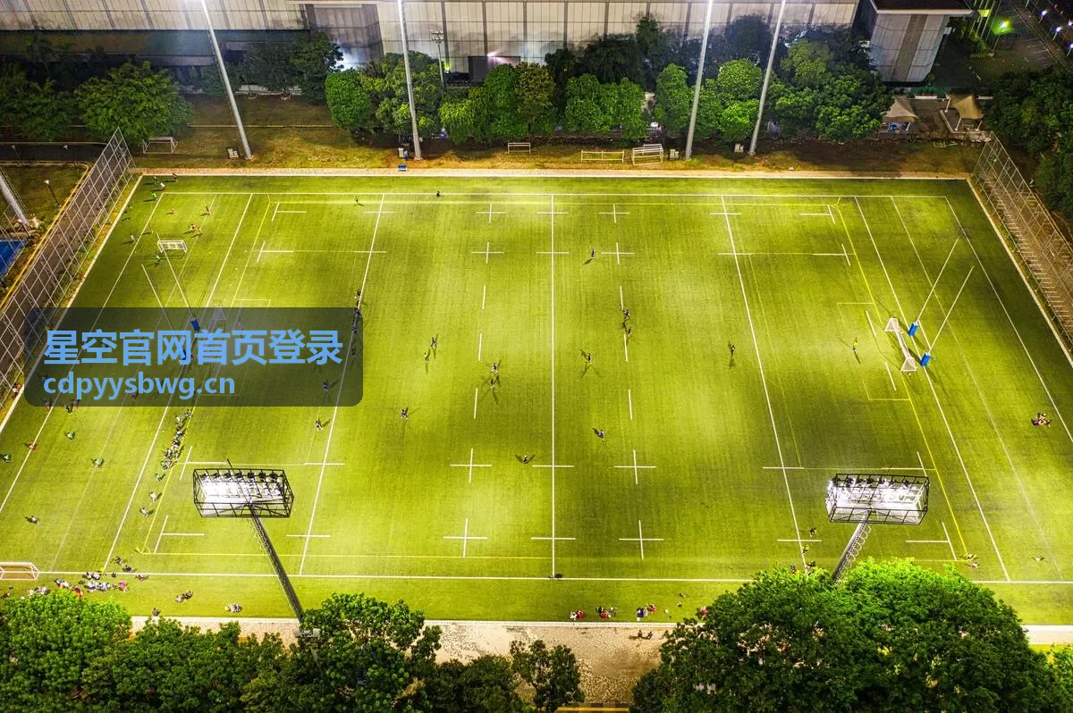 星空官网首页登录日志与安全回溯记录示意